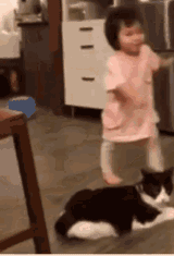 cat-trip