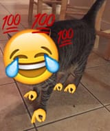 1702579835433958