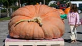 1030_giant_pumpkin