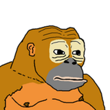 MonkeCG