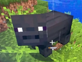 pigga
