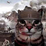 raf,360x360,075,t,fafafa_ca443f4786 (1)