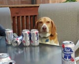one_last_beer