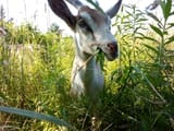 IMG_20250703_174455