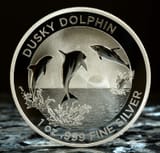 AUS_Dolphins2022_Dusky
