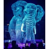 Hologram-Mesh-Stage-2