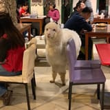 IMG_20250510_023458_435