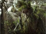 sylvarbe