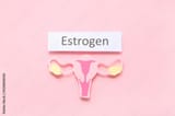 estrogen