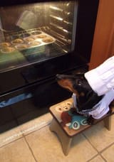cooking time