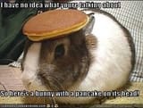 bunnypancake