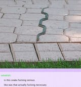 snek