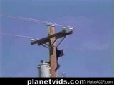 mEg2k-