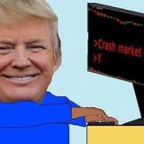 trump crash market
