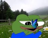 frogbutterfly