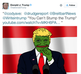 Trump posting smug Pepe in 2016