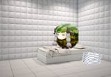 watamelon gme padded room