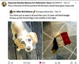beagle-eat-french-flag