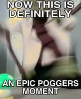 16382048293