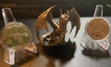 getdragoned
