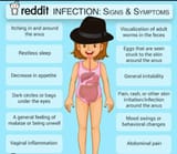 redditorworms