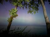 IMG-20241010-WA0011