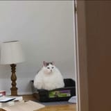1607497552921