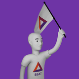 BAT flag