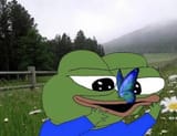 apu butterfly