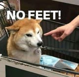1724025186697