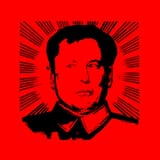 chinese_elon-1