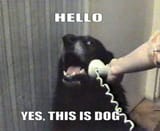 1745896001637728
