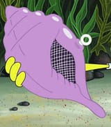 Magic_Conch_Shell