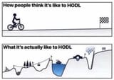 hodl