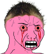 1733309824548596