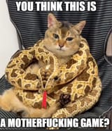 1752552410520644