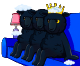 tild3136-3466-4833-b035-346335363032__11_moobaa