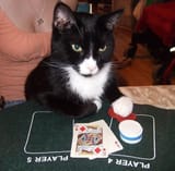 pspspoker