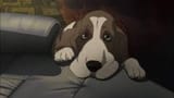 doggo