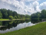 Pond