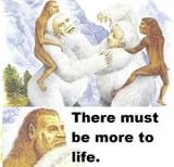 1740827758017623