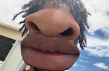 niggs