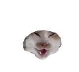 1752691945965