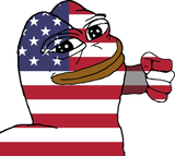 american_flag_pepe_punch