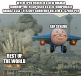 classic xsg meme about xrp