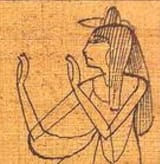 Egyptian no thank you