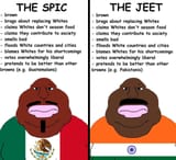 jeet spic