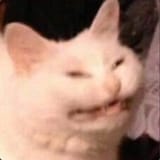 1733030873134199