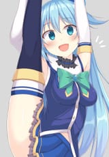 Aqua leg up