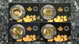 CND_Klondike_Series_f